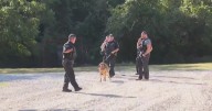 Multiple law enforcement agencies searching for teenager in Shaler, say no threat to the public