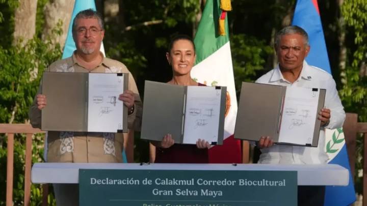 Sheinbaum destaca unión de México, Guatemala y Belice para proteger la selva Maya