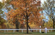 A taste of cool, fall-like weather is coming. Here’s what you need to know