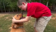 Boy obsessed with golden retrievers gets doggone surprise after mom's social media post in Wake Co.