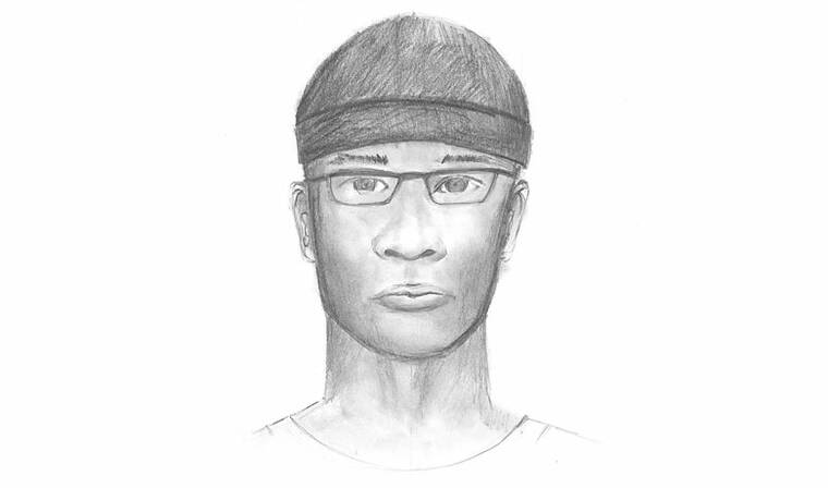 Honolulu police release sketch, photos of suspect in Chinatown acid attack