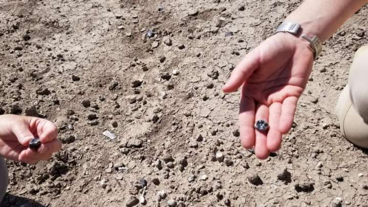 Descubren una nueva especie de ancestro humano arcaico