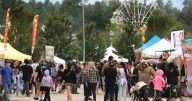 Mountain Line offering free bus service to Coconino County Fair