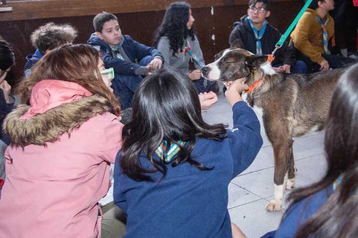 Jornada sobre tenencia responsable de animales en Ushuaia