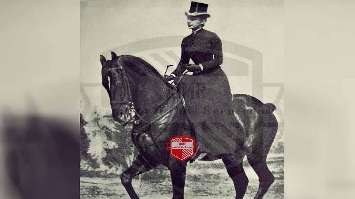 Carlota en Irapuato: en septiembre de 1864 llegó para acompañar a Maximiliano en su enfermedad