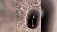 New York Rescuer Hears Strange Sounds From A Well—And Is Stunned When They Realize What It Is