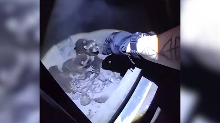 Colorado Animal Control Officers Were Stunned After Finding A Mysterious Family Inside A Woodstove