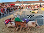 The Maryland State Fair is just around the corner