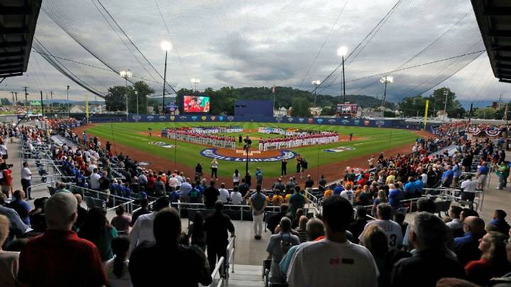 Offshore betting on Little League Baseball World Series irks managers