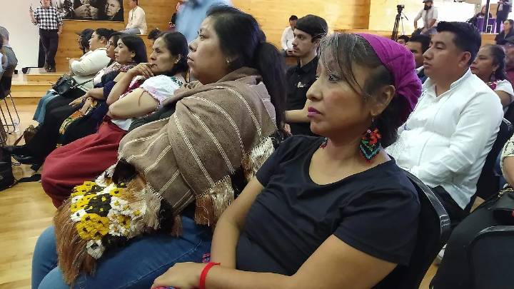“Para mí es falta de voluntad política”, diputada sobre rezago en creación de direcciones de Asuntos Indígenas en BC