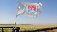 El Gobierno pasó a disponibilidad a más de 300 empleados del INTA, INASE e INV
