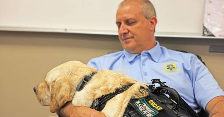 Do electronics have a smell? This Caldwell County K-9 sniffs out evidence of internet predators