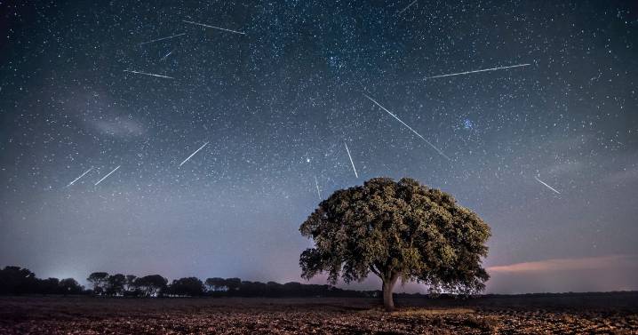 How to see 'dramatic' Perseid meteor shower as stunning display set to hit peak