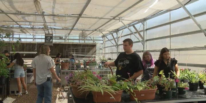 Flowing Wells teacher reduces absences through hands