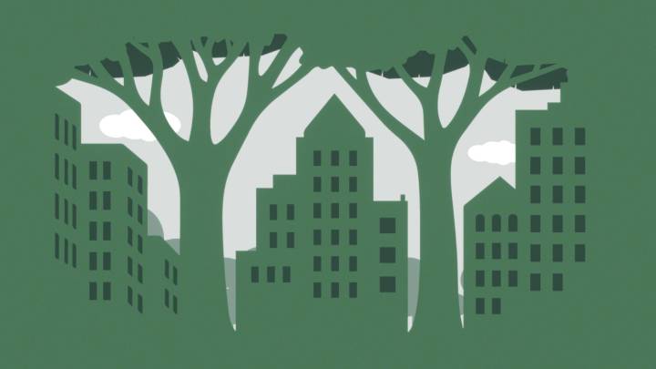 Arborizar el Asfalto Para Resistir a la Hostilidad de las Ciudades