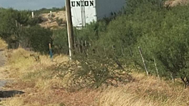 Trailero se salva de morir tras dormirse en la Carretera Monterrey