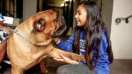 How Pets Can Be the Key to Human Happiness