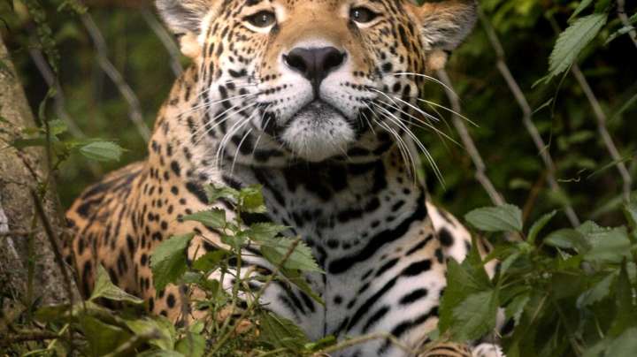 Erie Zoo: City council approves land transfer to Erie Events
