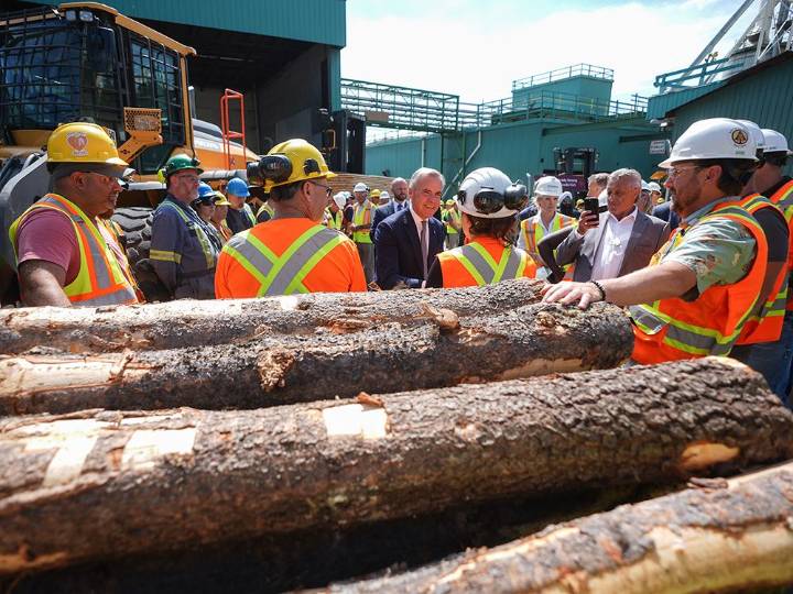 U.S. more than doubles Canadian softwood duties, starting immediately