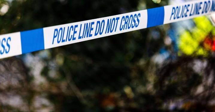 Illegal immigrants caught manning £192,000 Midlands cannabis farm now face deportation