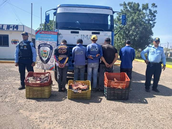 Polifalcón aprehende cinco personas por hurto en Dabajuro