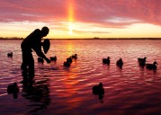 New North Dakota law requires waterfowl hunters to buy a state habitat stamp