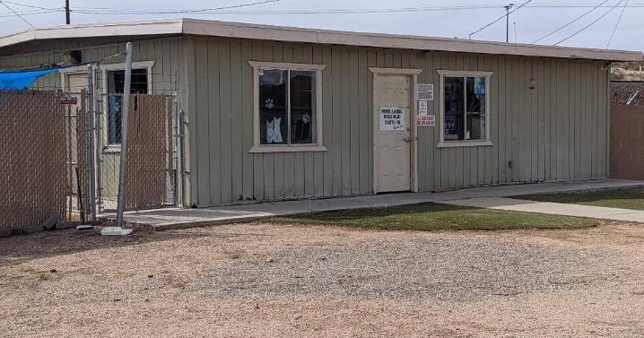 Former animal shelter in Kingman could go up for auction online
