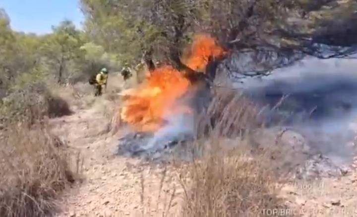 Estabilizado el incendio declarado en Benamaurel