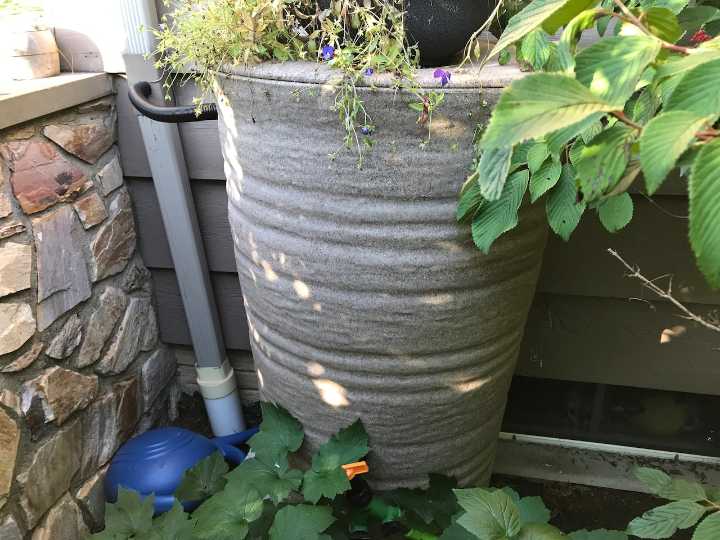 What are rain barrels for? How to get info and pick up your own