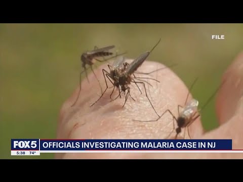 NJ resident infected with malaria, state officials investigate