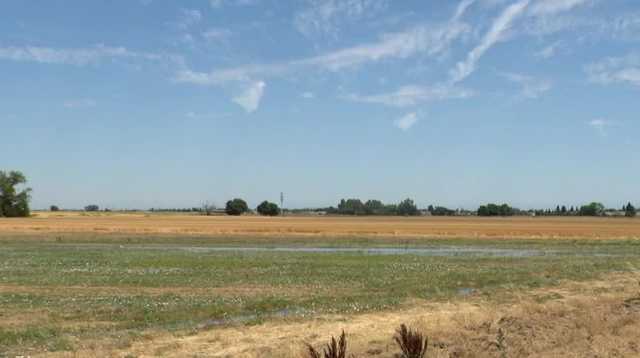 Sacramento County postpones vote on Natomas housing project