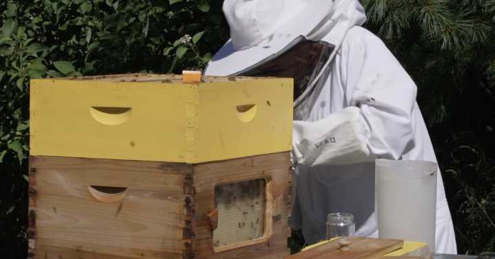 Local beekeepers share passion at Sturgeon Bay honey harvest festival