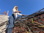 Weaving willow: New Syracuse sculpture installation intertwines art and nature