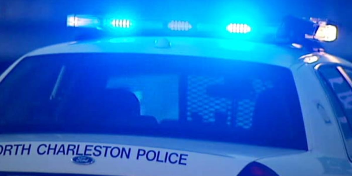 North Charleston Police search for driver in fatal auto
