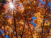 Boston in the running for best place in the US to visit in the fall