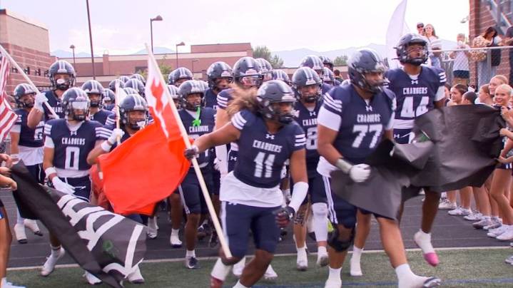 Beehive Blitz - Week 1 Scoreboard