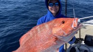 Florida Gulf red snapper season starts on Labor Day, what to know