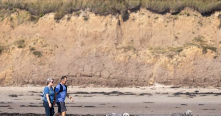 All the parts of England set for September heatwave as 16 counties face Indian Summer
