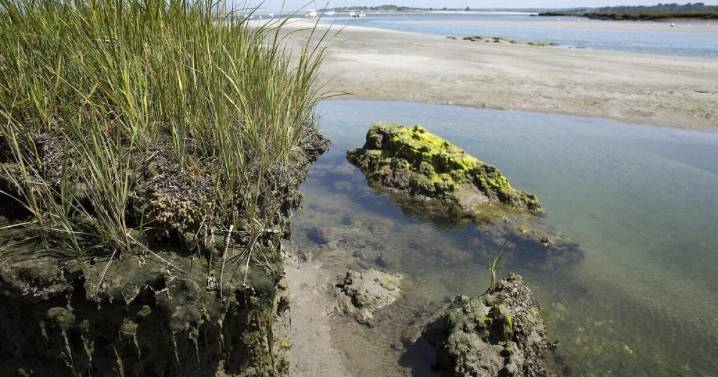 Northeast climate science center in Massachusetts could close as feds freeze funding