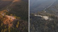 Incendios en Galicia, última hora |  Los nuevos cálculos de la Xunta disparan a 82.000 las hectáreas quemadas en seis incendios activos
