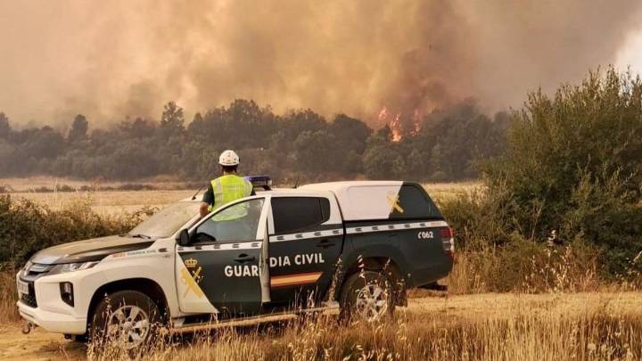 Detienen a un hombre por provocar un incendio que arrasó 4.000 hectáreas en Zamora