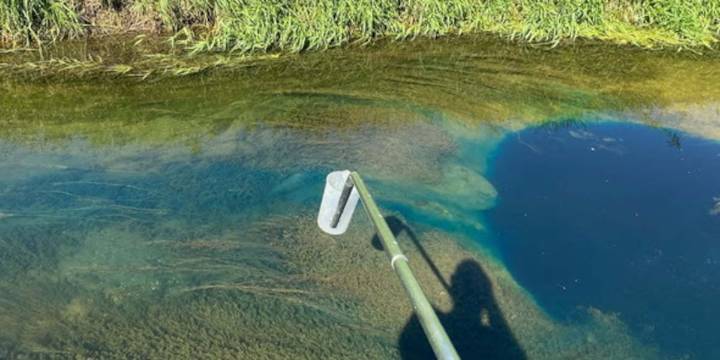 DNR investigating copper spill in northern Iowa; dead fish observed