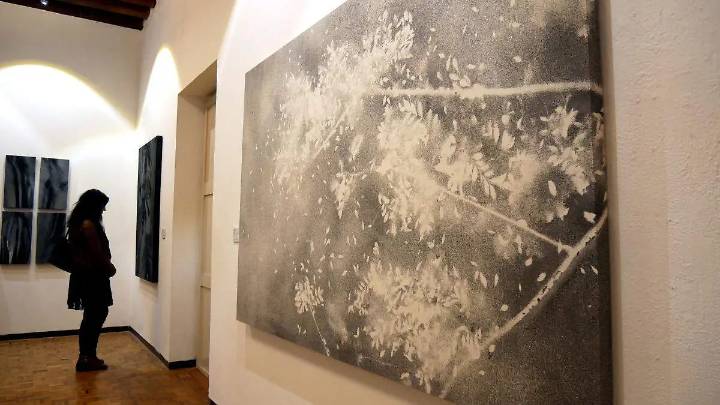 Inauguran dos exposiciones de gráfica y textil en el Museo de Arte Contemporáneo