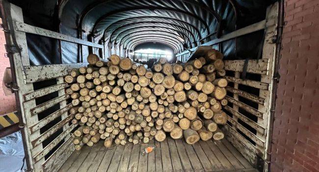 CAR incauta madera en diferentes municipios de Cundinamarca: así fueron los operativos