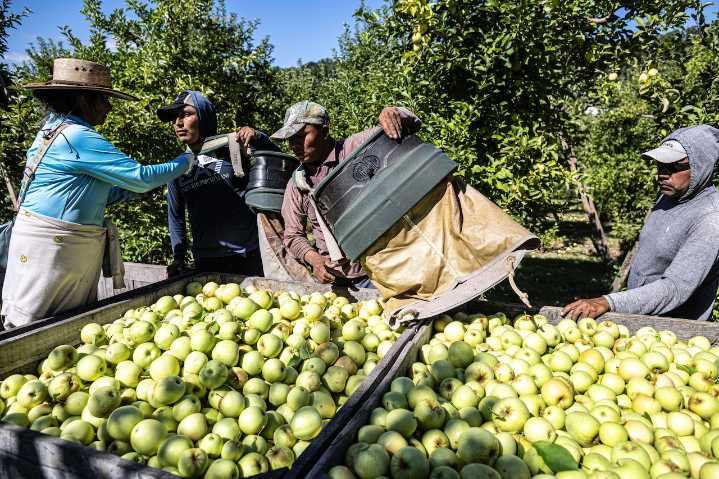 Why American farms can’t survive without migrant workers