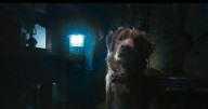 Vertigo Releasing acquires ghost dog horror ‘Good Boy’ for UK