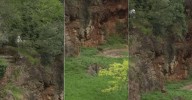 Una familia se cuela en el recinto de lobos de Cabárceno y es grabada por un 'tiktoker'