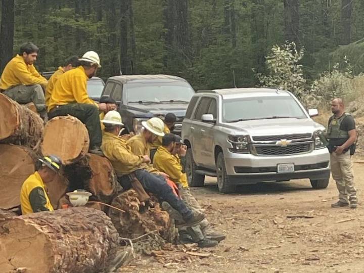 Arrestan a dos bomberos que combatían incendio forestal en Washington