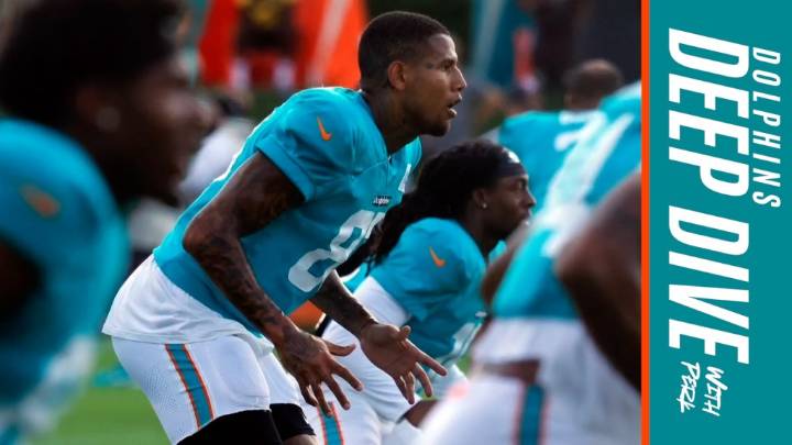 Dolphins Deep Dive: Concern over new players in key roles?