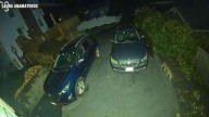 WATCH: Surveillance video captures bobcat on the prowl in Woburn